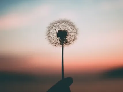 Motherhood Meditation To Connect With Yourself