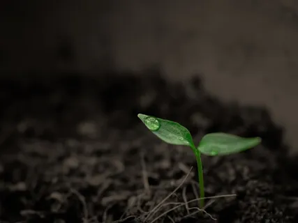 Motherless Mother's Day With Cheryl Strayed