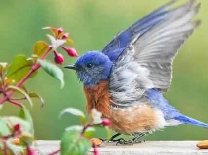 Mother’s Day Letter To My Grands