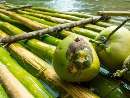 Motivation Binaural Beats For Focus,Creativity,Productivity