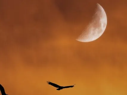 Motivation For The First Quarter Moon