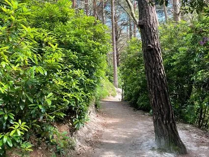 Motivational Affirmations