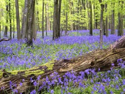 Motivational Guided Meditation