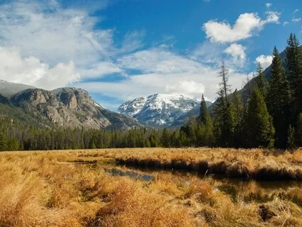 Motivational Moments