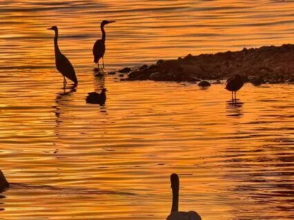 Motivational Morning Mindset Reset