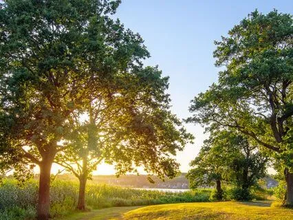 Motivational Music With Alpha (12Hz) For Focus And Success