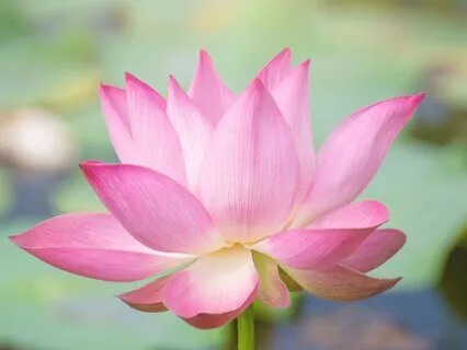 Motivational Ocean Waves For Focus, Relaxation & Creativity