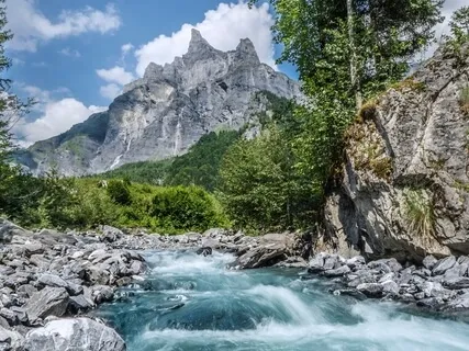 Mountain & Stream: Body, Mind & Beyond