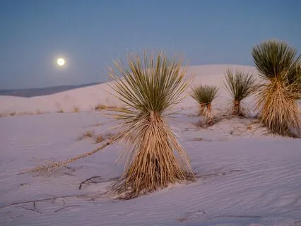 Mountain Dream Native American Flute Journey Inner Peace