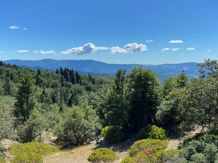 Mountain Forest Magic