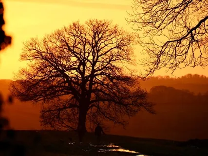 Centered & Grounded As A Mountain