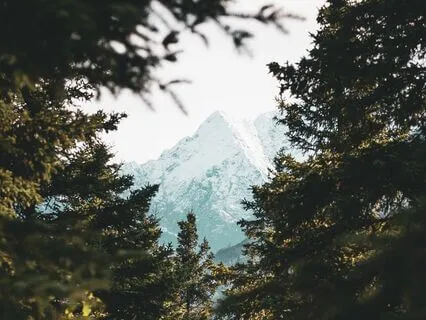 Mountain Meditation: Cultivating Stability