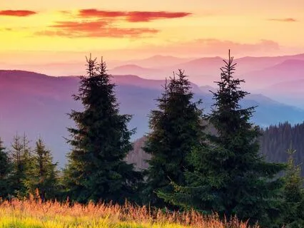 Mountain Meditation - Explore Mindfulness & Inner Strength