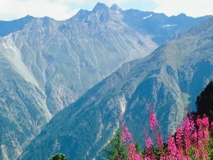 Mountain Meditation For Developing Equanimity