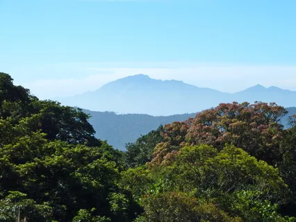Mountain Meditation with some silence