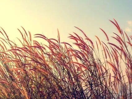 What The Mountain Knows