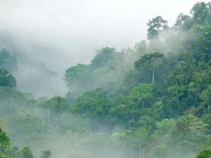 Mountain Rain With Tibetan Singing Bowls