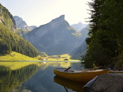 Strong, Steady & Grounded