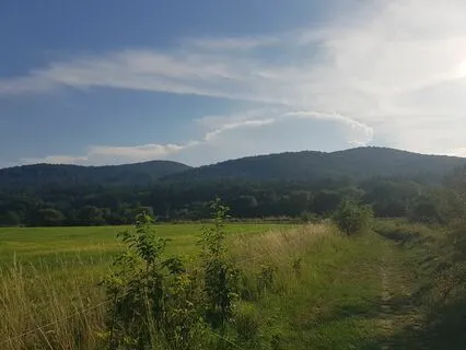 Mountain Walk With Stream Relaxation