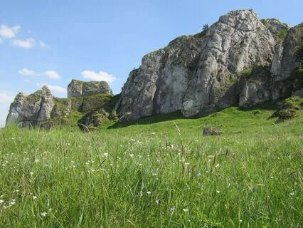 Mountaintop Retreat To Rest And Reset