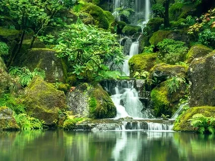 Move From Resistance To Ease Meditation