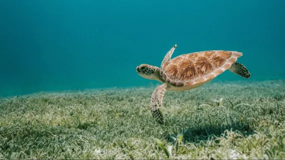 Move From Your Head To Your Heart  - 6 Min Daily Insight