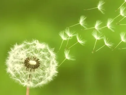 Move Through Change With Ease