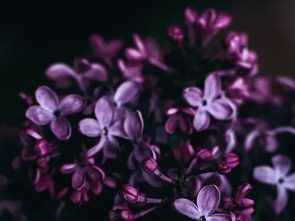 Move Through Fear Or Resistance