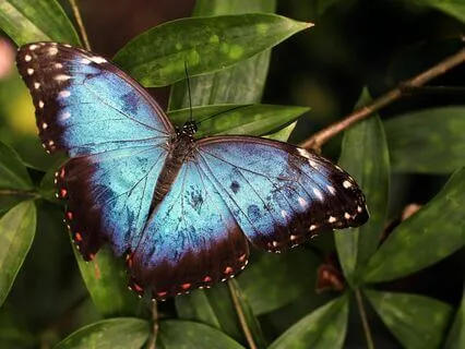 Calm & Release Intense Emotions