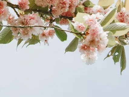 Movement Idea To Release Tension