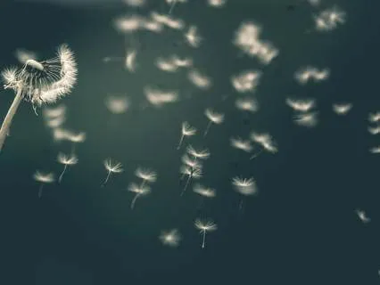 Movement Meditation For Relaxation