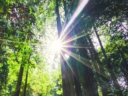 Moving Beyond Crisis & Extreme Stress • Spiritual Renewal