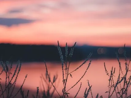 Moving Beyond Mistakes & Becoming Your Highest Self