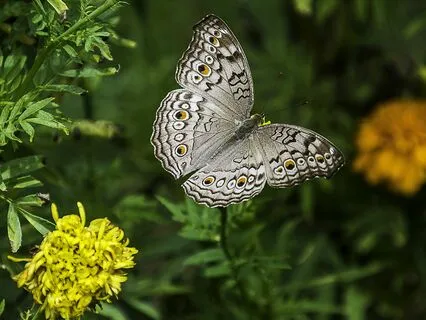 Moving Forward After A Breakup