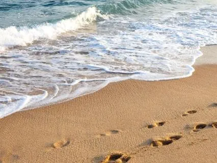 Moving Forward Despite Fear