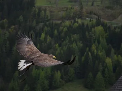 Moving From False To A true Soul-Based Personality