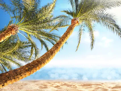 Moving From Fear To Love