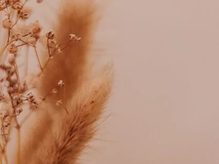 Moving From Fear To Trust