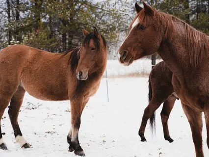 Moving From Stagnation