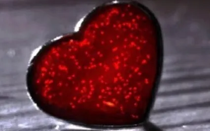 Moving Heartsick Out Of Our Body