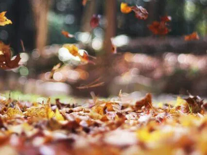 Moving Into Higher Awareness