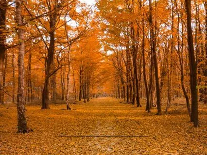 Moving Into New Seasons