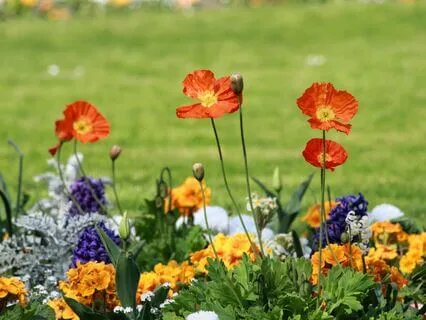 Moving Into Relationship With Resistance To Change - Part 1