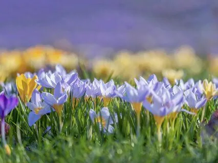 Moving Into Relationship with Resistance to Change - Part 2