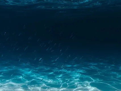 Moving Into Stillness (Meditation)