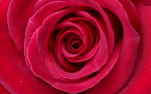 Moving Into The Heart