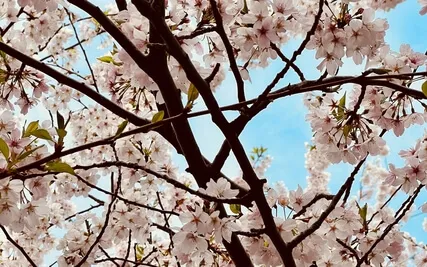 Moving Inward Meditation