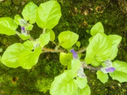 Moving Lovingly And Freely From 2023 Into 2024