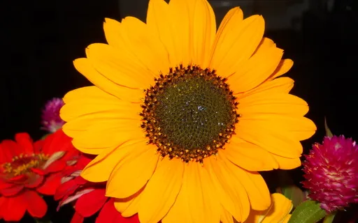 Moving Out Of Judgement Talk And Mini Meditation