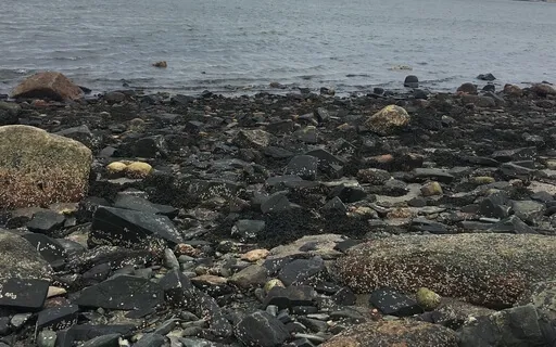 Moving The Anger In Your Grief